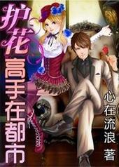 《护花高手在都市 》